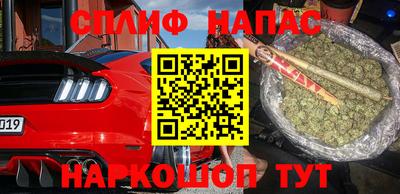 сатива Заводоуковск